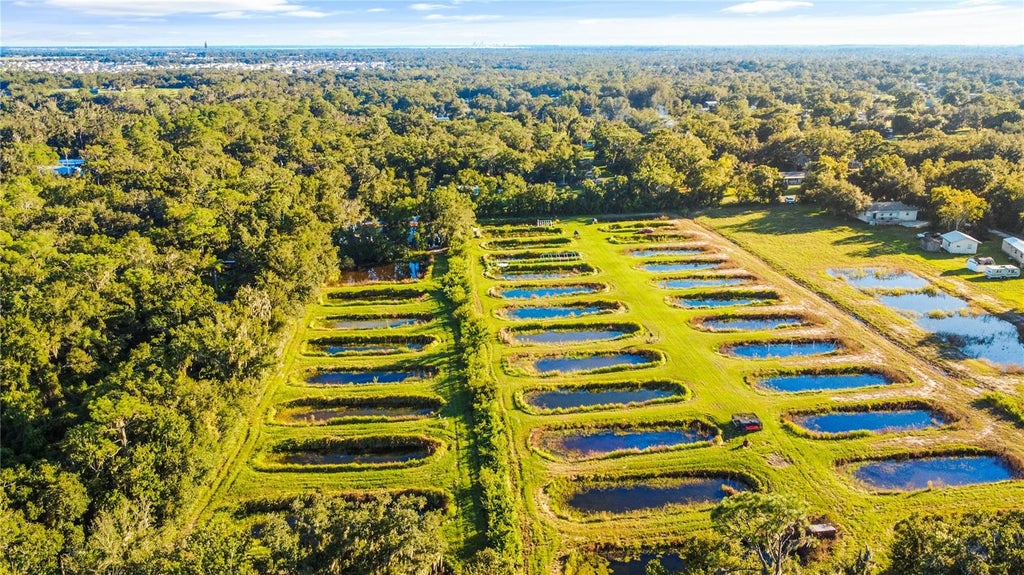 Photo of 5010 Ruth Morris Road, Wimauma, FL 33598 (MLS # TB8558347)