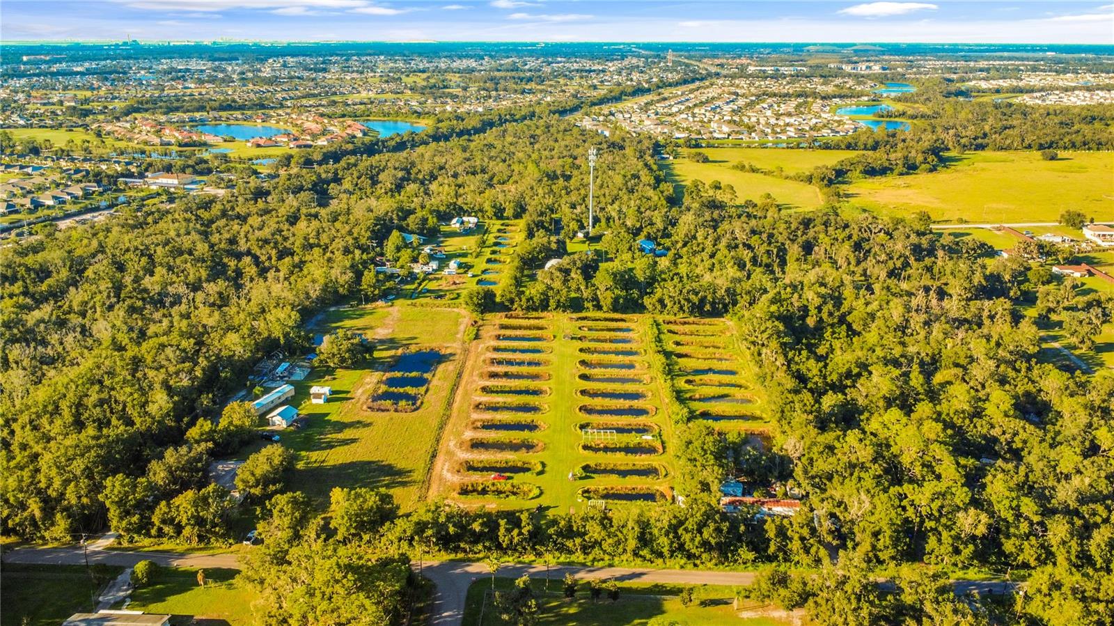 5010 RUTH MORRIS ROAD, WIMAUMA, FL, 33598 2 5010 RUTH MORRIS ROAD