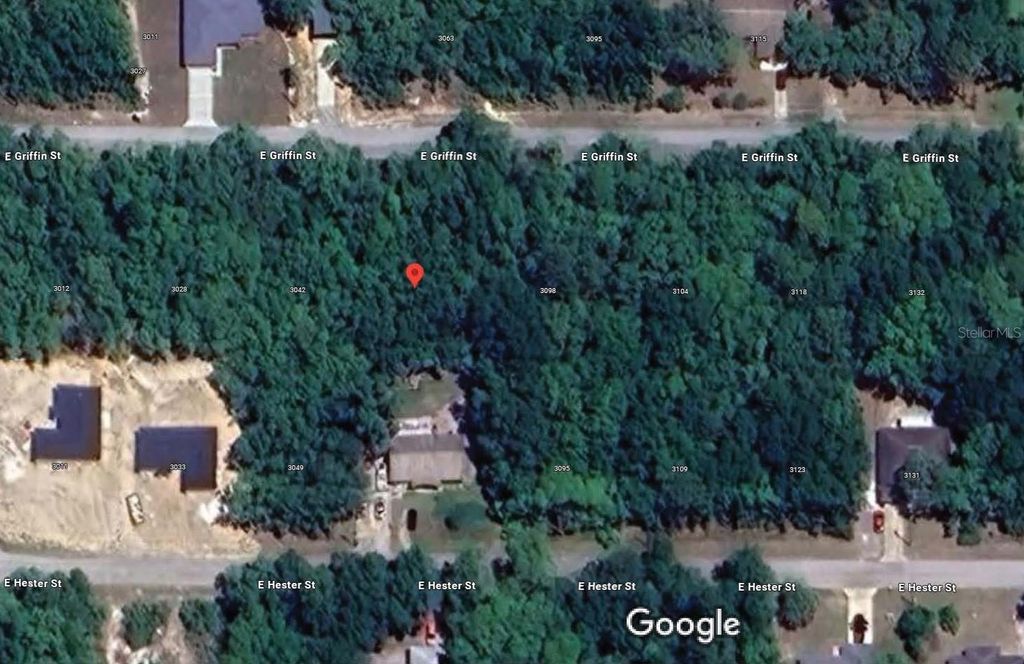 Photo of 3054 E Griffin Street, Inverness, FL 34453 (MLS # TB8469865)