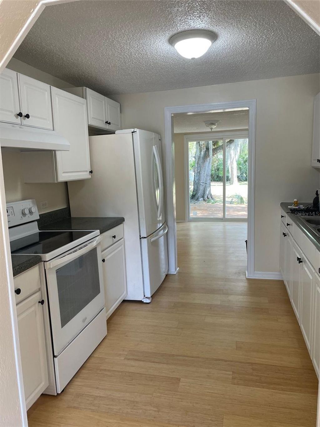 Photo of 309 Lake Dale Drive, Auburndale, FL 33823 (MLS # L4956202)