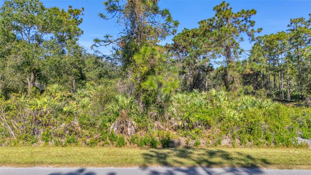 Photo of Quinlan Street, Orlando, FL 32833 (MLS # O6362891)