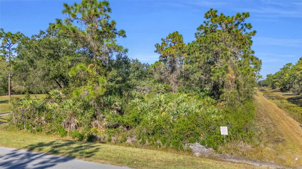 Photo of Quinlan Street, Orlando, FL 32833 (MLS # O6362891)