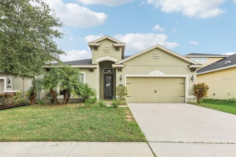 A home in RIVERVIEW