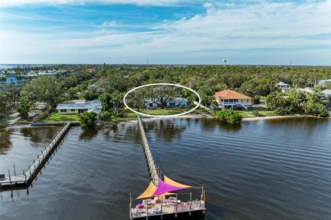 A home in PORT CHARLOTTE