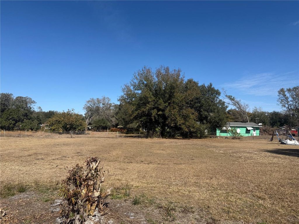 Photo of 150 Church Avenue, Mulberry, FL 33860 (MLS # TB8471758)