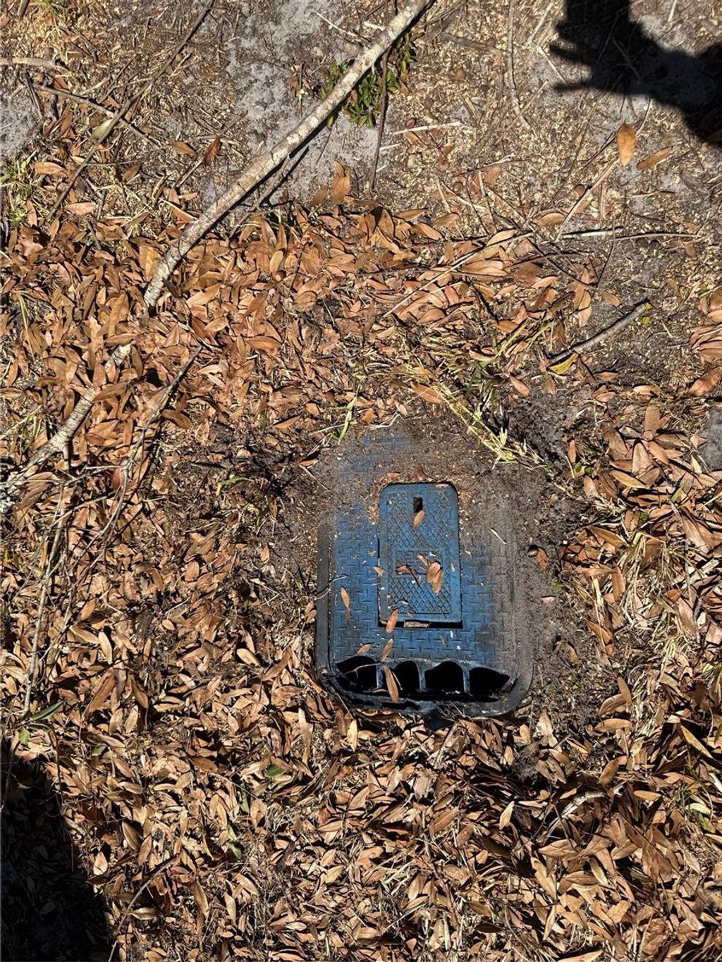 Photo of 150 Church Avenue, Mulberry, FL 33860 (MLS # TB8471758)