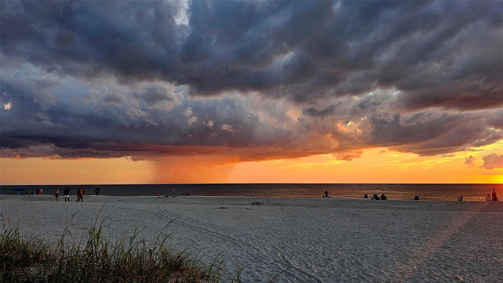 TALON PRESERVE PH 5B - Residential