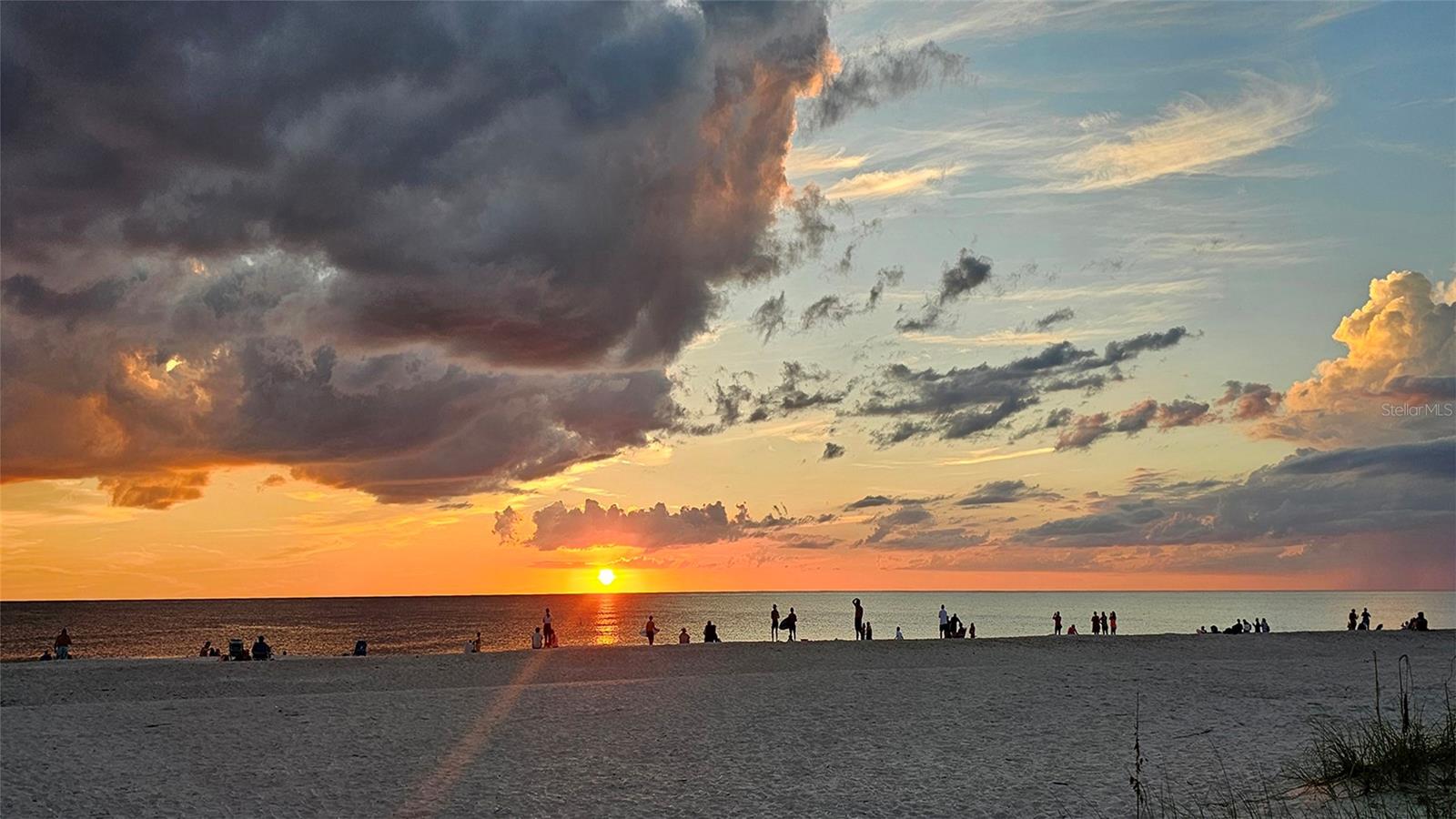 TALON PRESERVE PH 5B - Residential