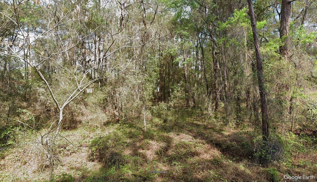 Photo of 14525 SW 21st Place, Ocala, FL 34481 (MLS # TB8544890)