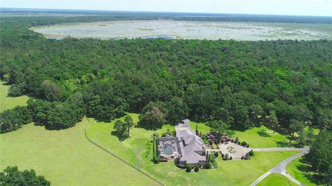 Tiny photo for 15305 NW Hwy 320, Micanopy, FL 32667 (MLS # OM704652)