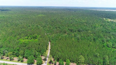 Tiny photo for 15305 NW Hwy 320, Micanopy, FL 32667 (MLS # OM704652)