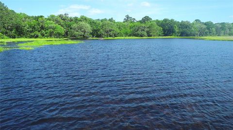 Tiny photo for 15305 NW Hwy 320, Micanopy, FL 32667 (MLS # OM704652)