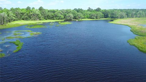 Tiny photo for 15305 NW Hwy 320, Micanopy, FL 32667 (MLS # OM704652)