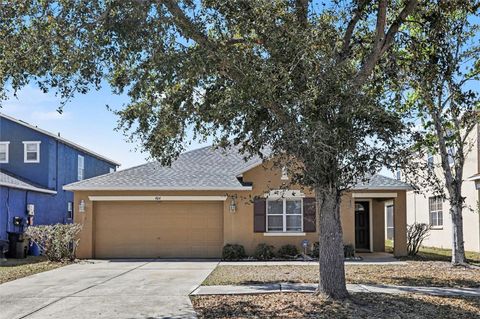 Photo of 404 Vine Cliff Street, Ruskin, FL 33570 (MLS # O6386040)