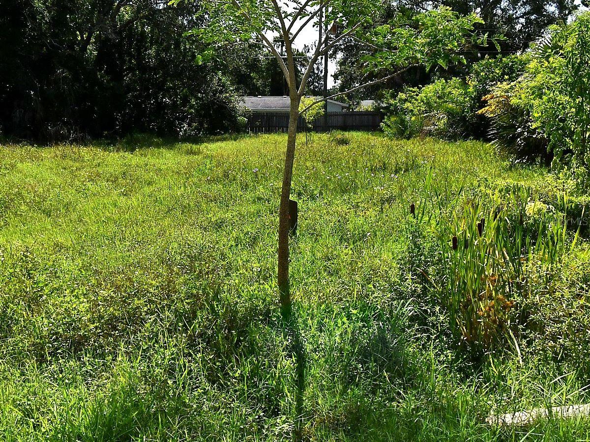 NOKOMIS MANOR NATURES PARK - Land