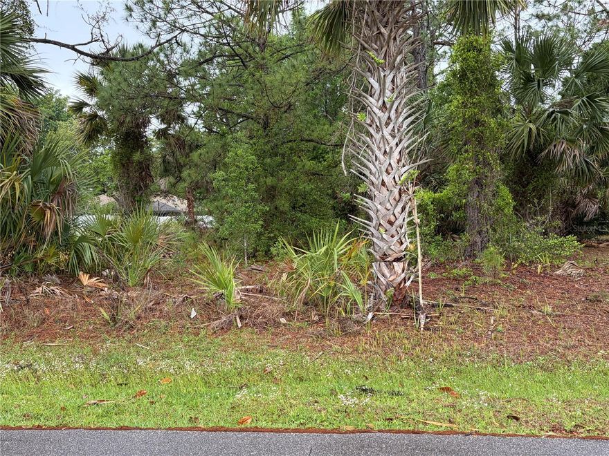 Beautiful lot in Pine Lakes surrounded by nice homes.