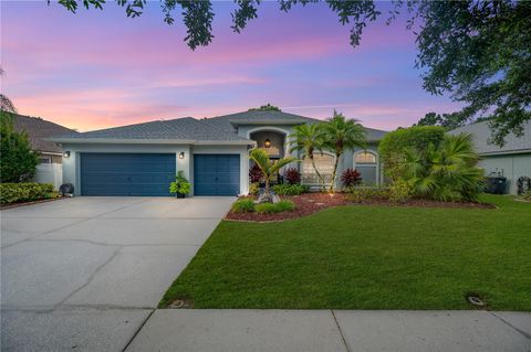 Single Family Residence in LUTZ FL 17713 CURRIE FORD DRIVE.jpg