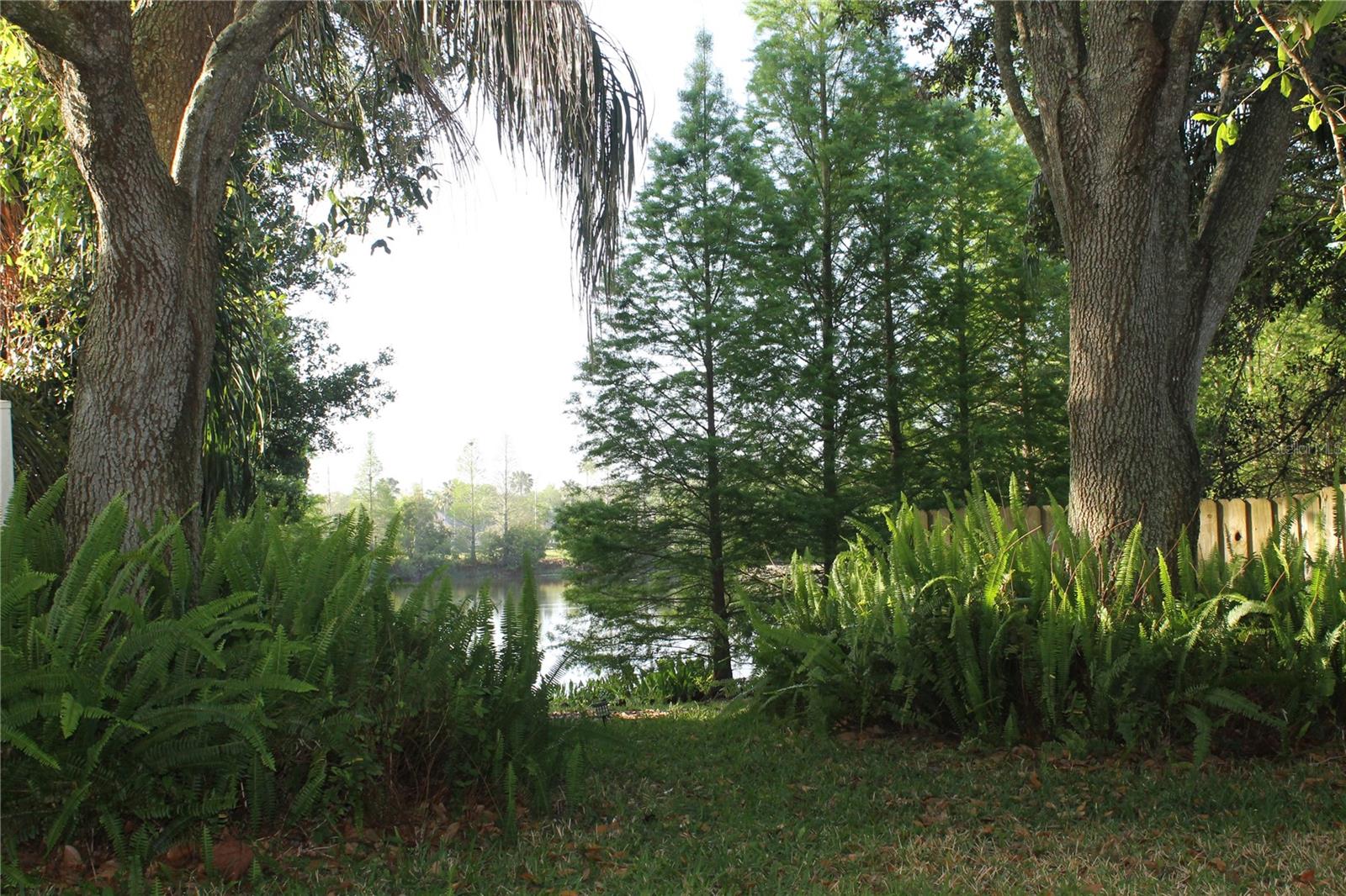 CROSS CREEK PRCL M PH 1 - Residential