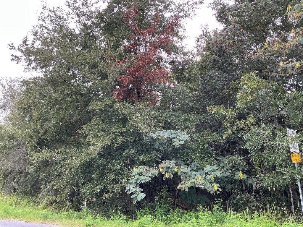 Photo of 1 Pine Radial Run, Ocala, FL 34472 (MLS # OM732842)