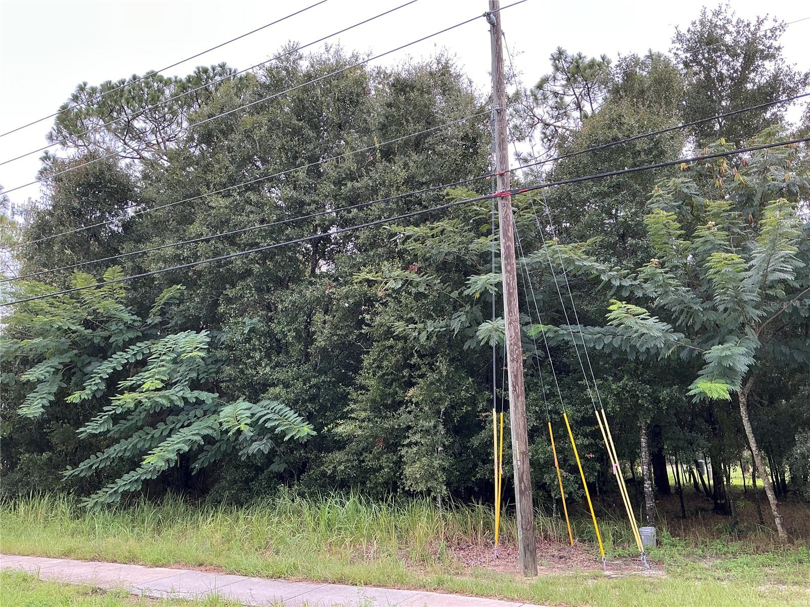 LOT 1 PINE RADIAL RUN