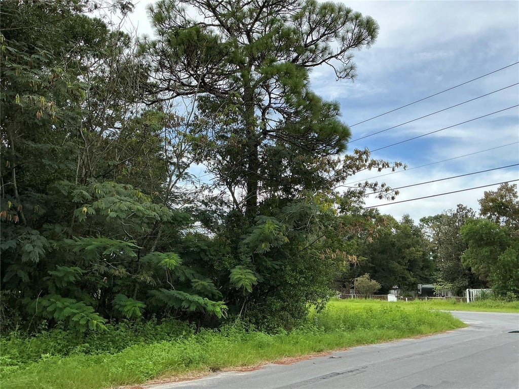Photo of 1 Pine Radial Run, Ocala, FL 34472 (MLS # OM732842)