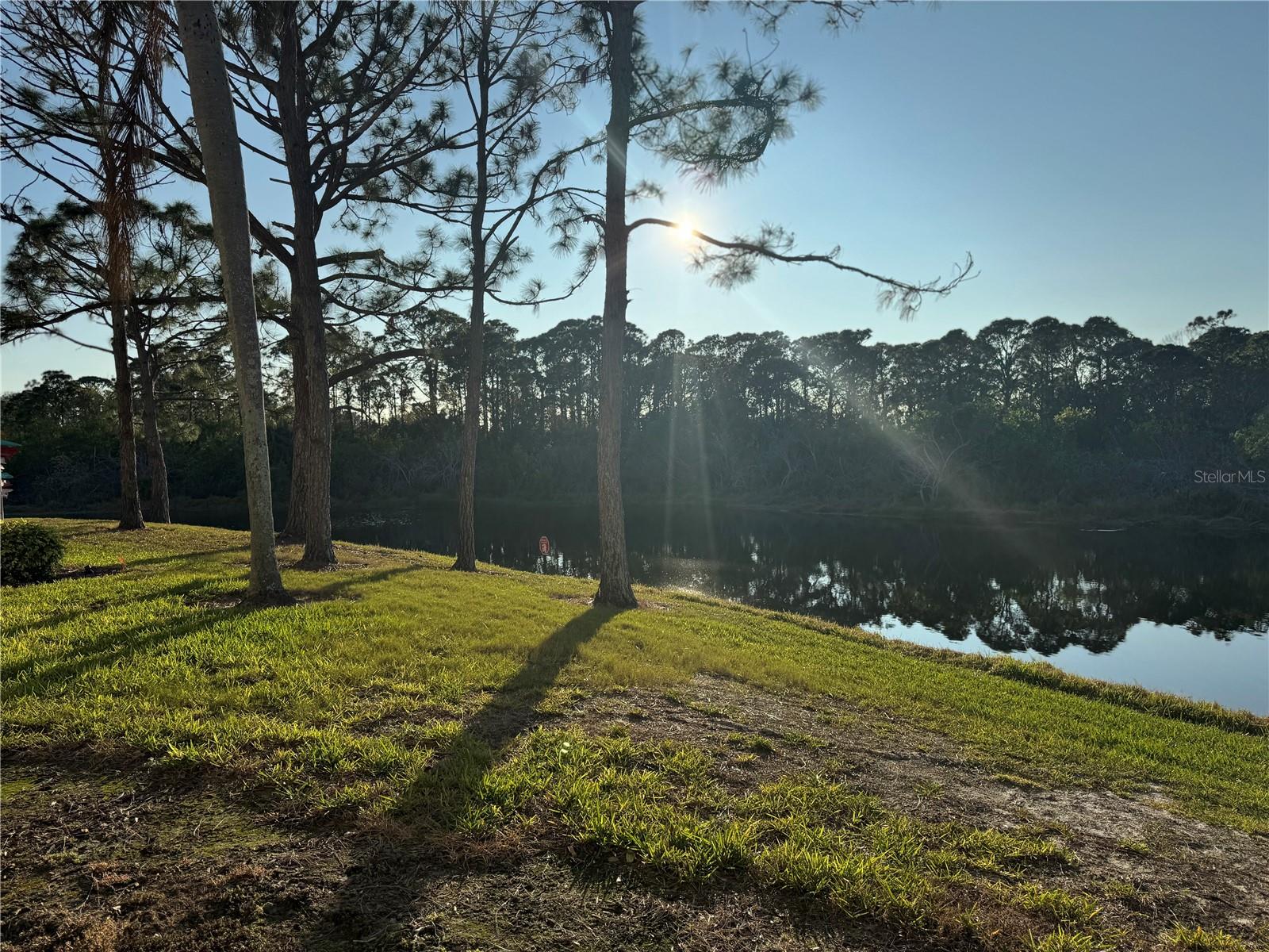PINESTONE AT PALMER RANCH - Residential Lease
