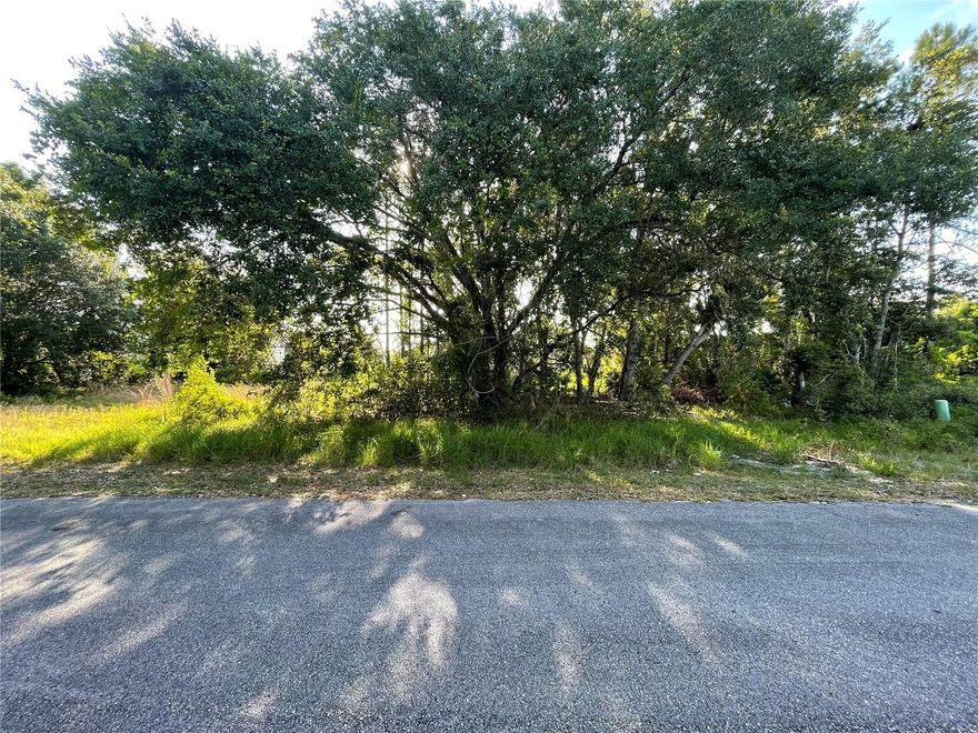 Price Adjustment!  Explore an outstanding opportunity in Poinciana with this vacant land. This property offers a perfect canvas for your dreams. Whether you're planning your dream home or a savvy investment, the options are endless. Situated in a lively community, this lot is filled with potential. Enjoy a range of amenities including a community pool, clubhouse, and various sports courts. Plus, there are scenic parks, walking trails, dog parks, and serene fishing lakes. Conveniently located, this property is less than 45 minutes away from major attractions like Disney and Lego Land. It's also just a quick 15-minute drive to the Florida Poinciana Hospital and the bustling Poinciana Town Center. With the recent completion of the Poinciana Parkway, accessibility to the community has greatly improved, promising growth and prosperity ahead.

Don't miss out on the chance to build your forever home in this thriving neighborhood. Take advantage of this opportunity today!