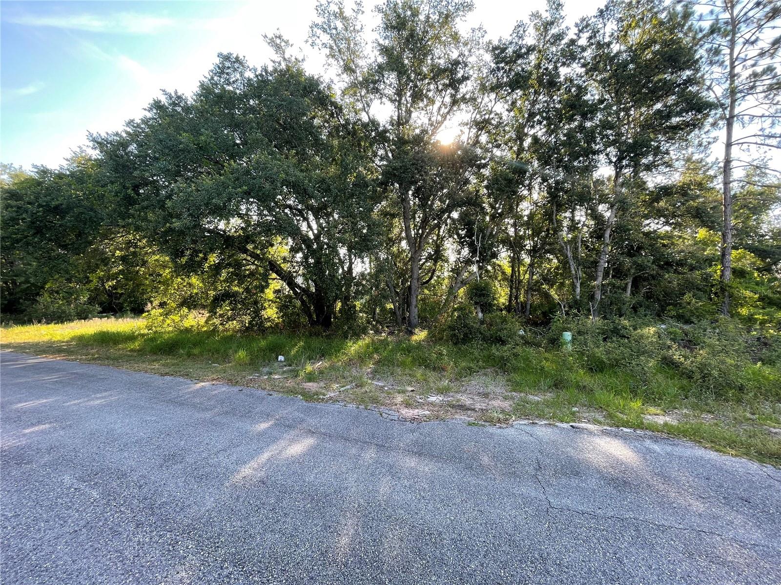 POINCIANA NBRHD 04 VILLAGE 07 - Land