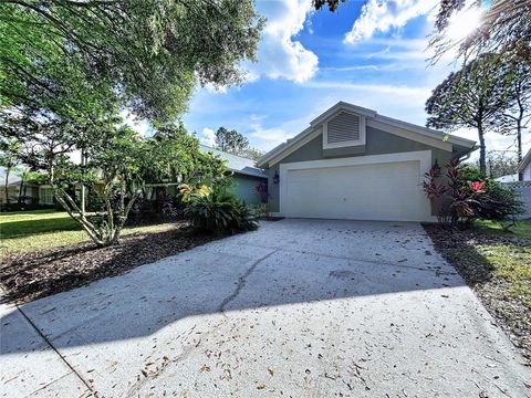17307 LOCKWOOD RIDGE DRIVE TAMPA FL 33647