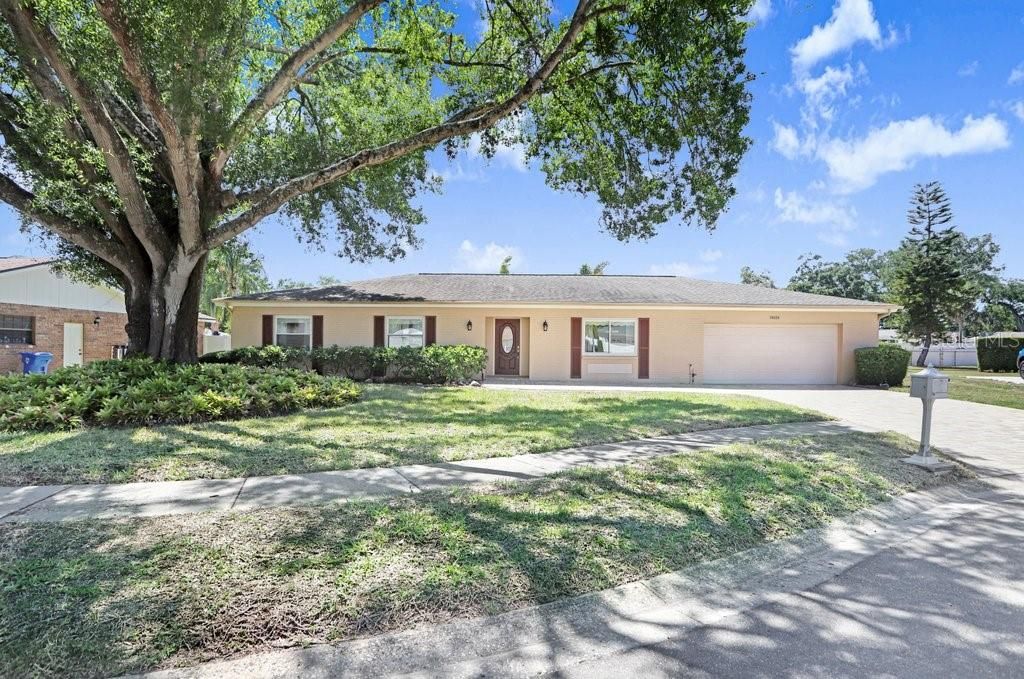 Photo of 14608 Brentwood Place, Tampa, FL 33618 (MLS # TB8506440)