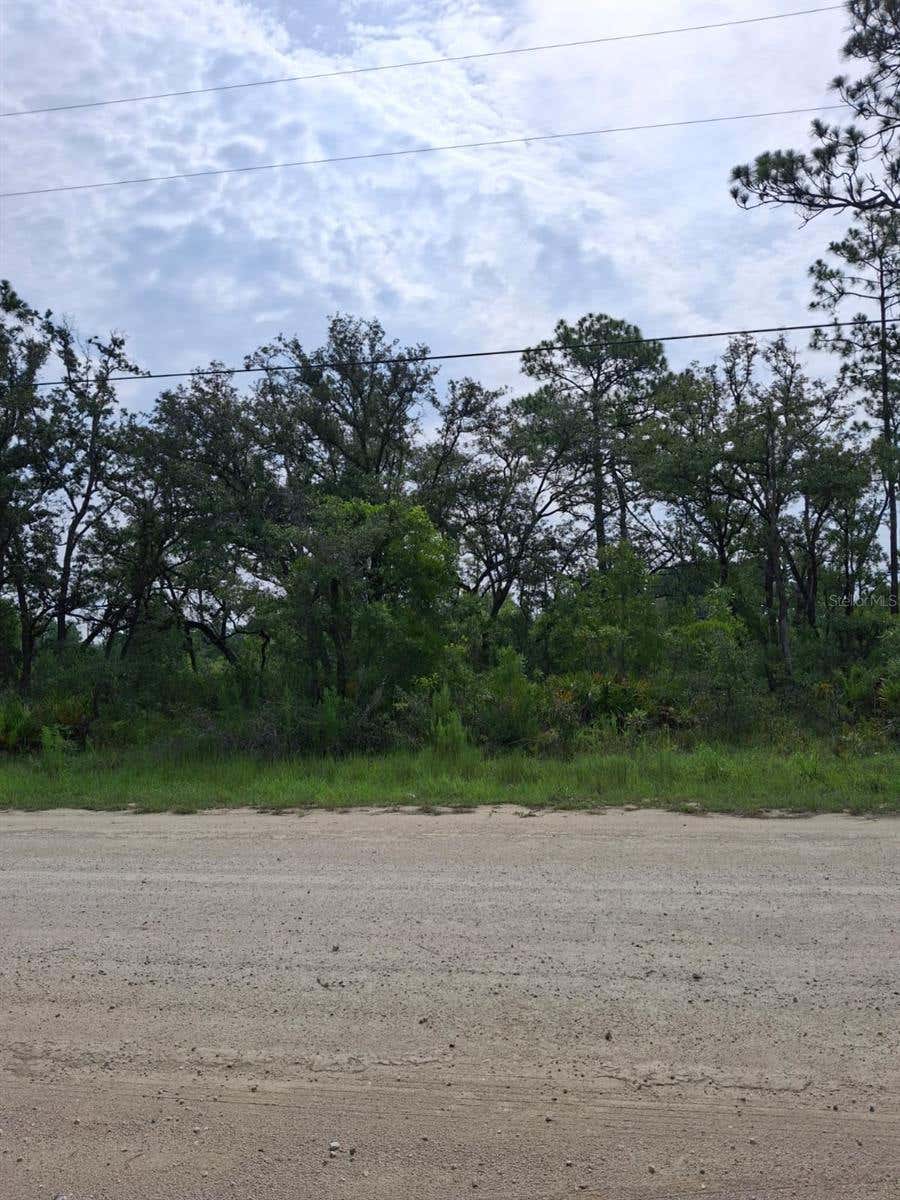 Photo of 18308 Parakeet Road, Weeki Wachee, FL 34614 (MLS # TB8533731)