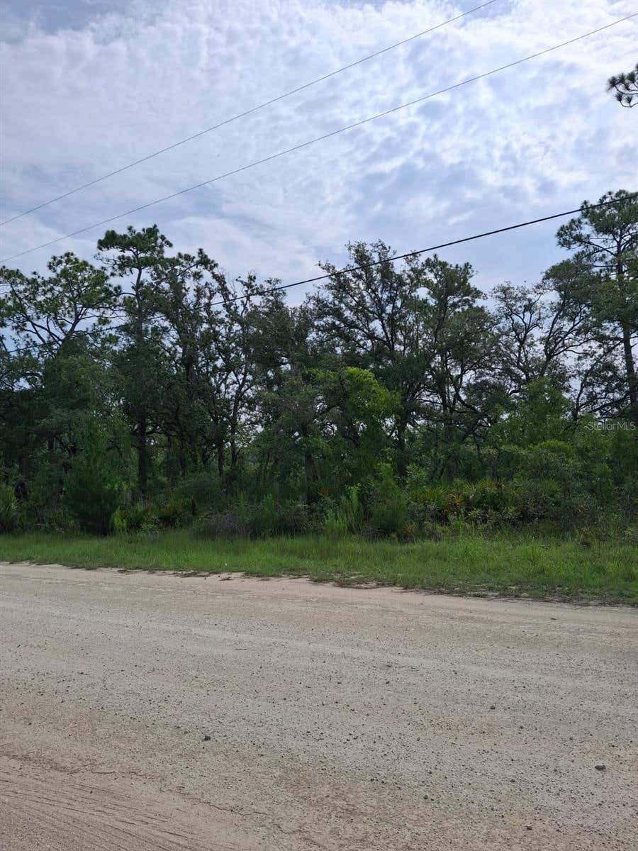 Photo of 18308 Parakeet Road, Weeki Wachee, FL 34614 (MLS # TB8533731)