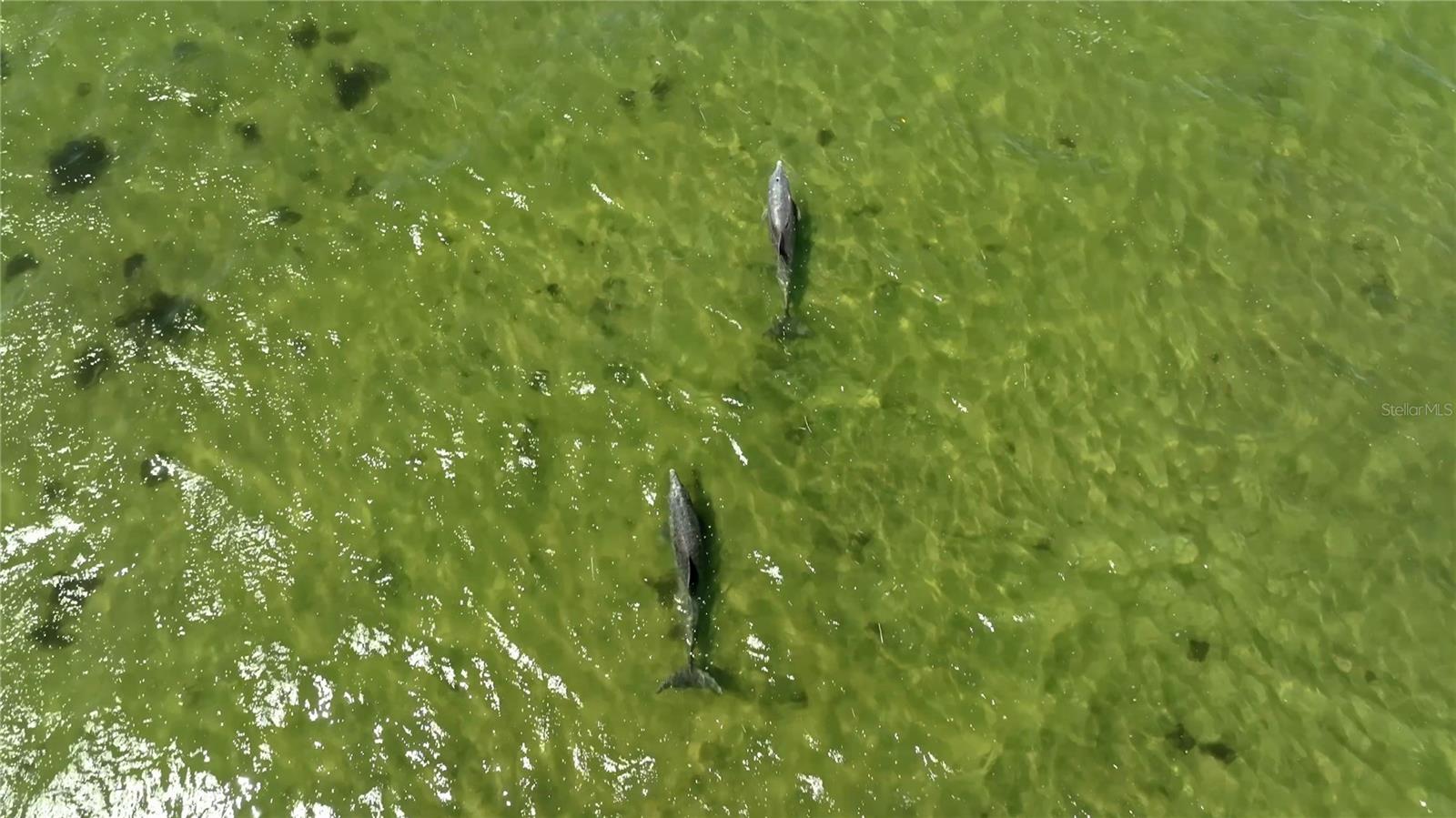 GULF VIEW SUB - Residential