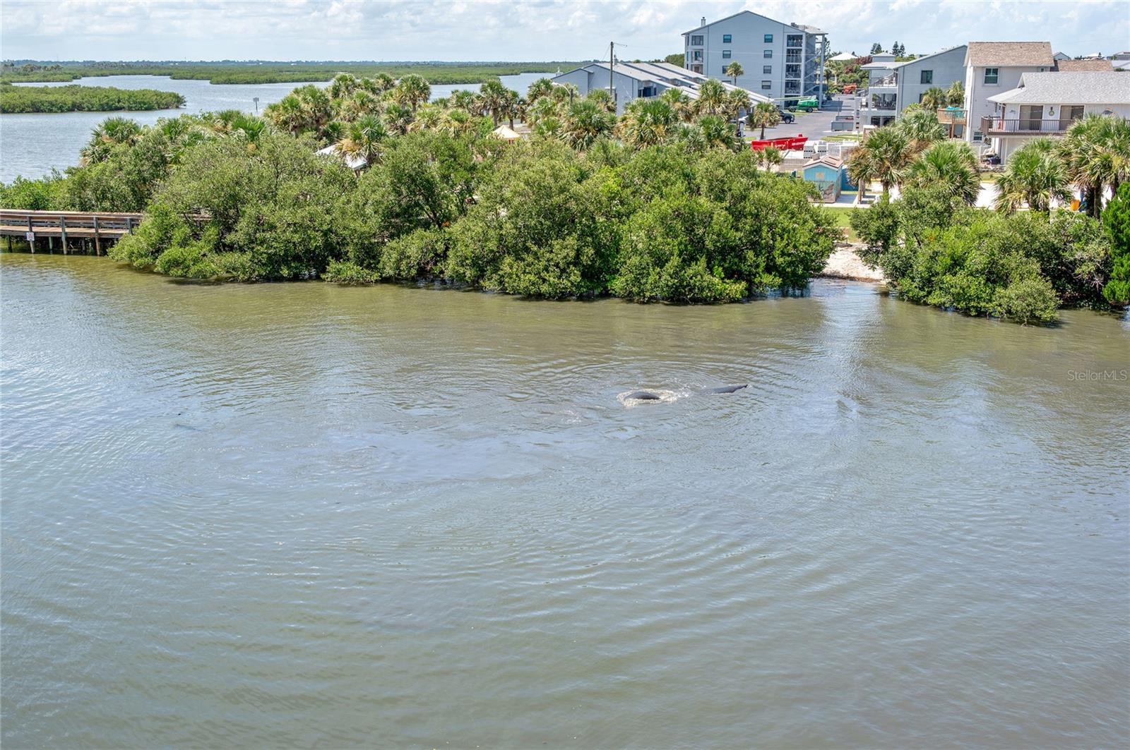 BETHUNE VOLUSIA BEACH - Residential