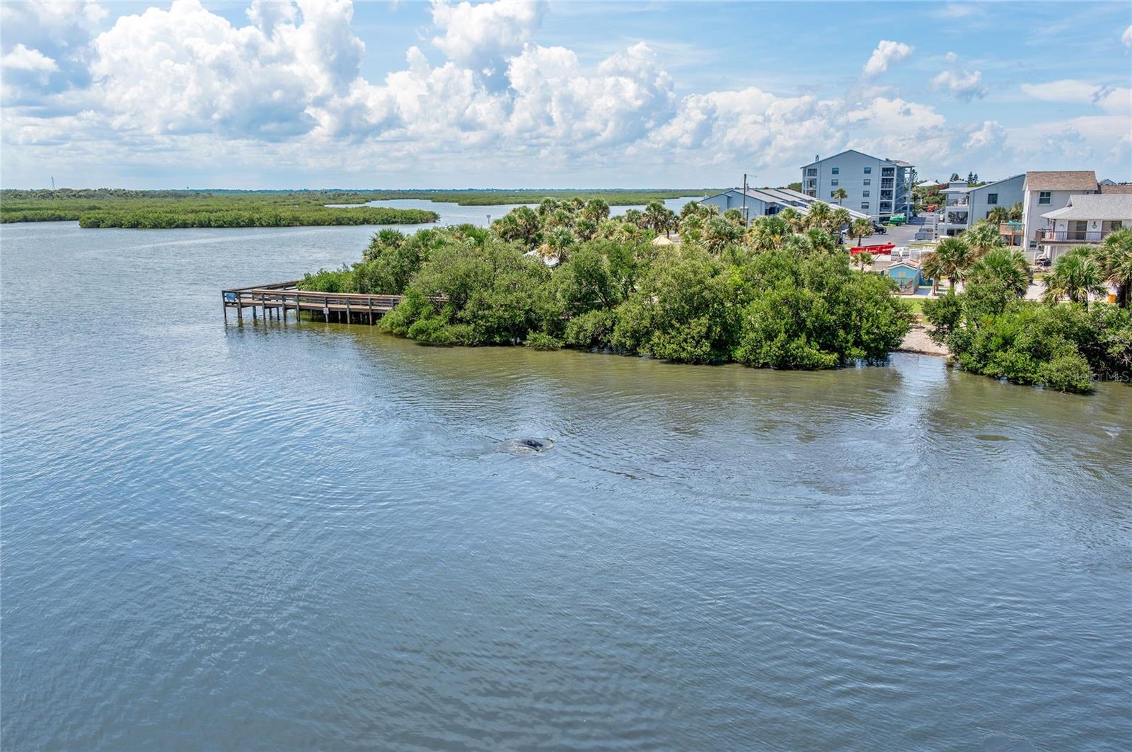 BETHUNE VOLUSIA BEACH - Residential