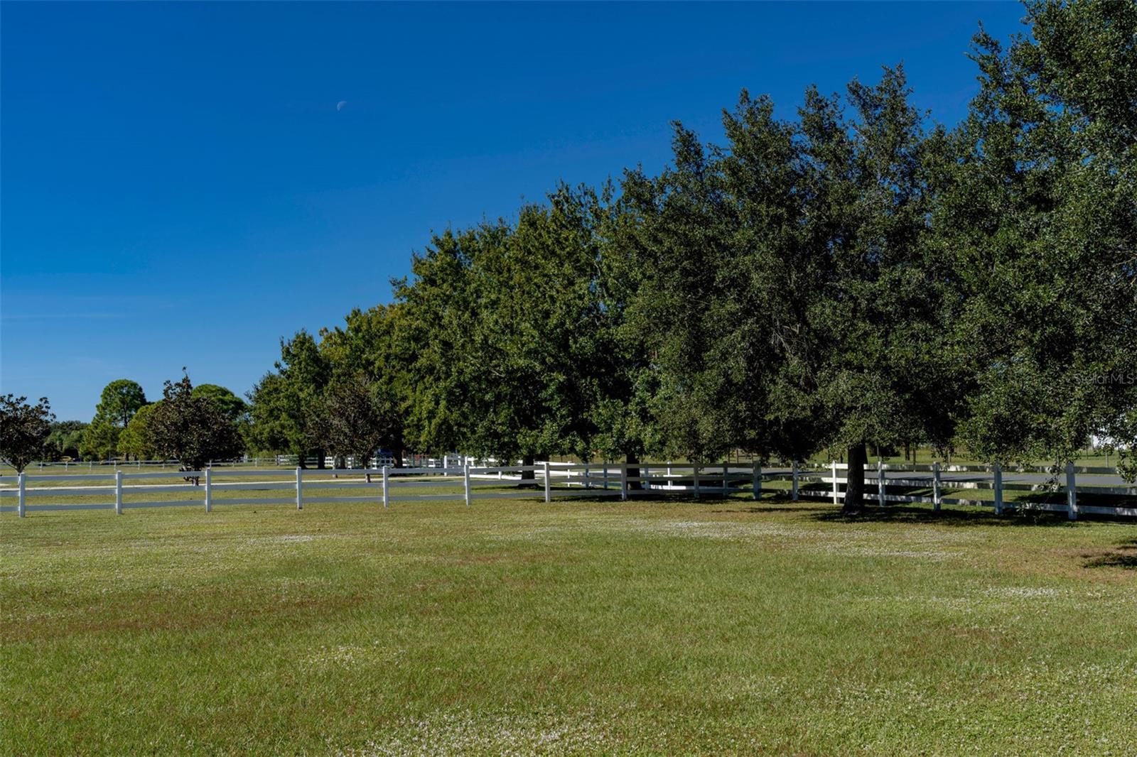 FLORIDA FRUIT BELT SALES CO 1 - Residential