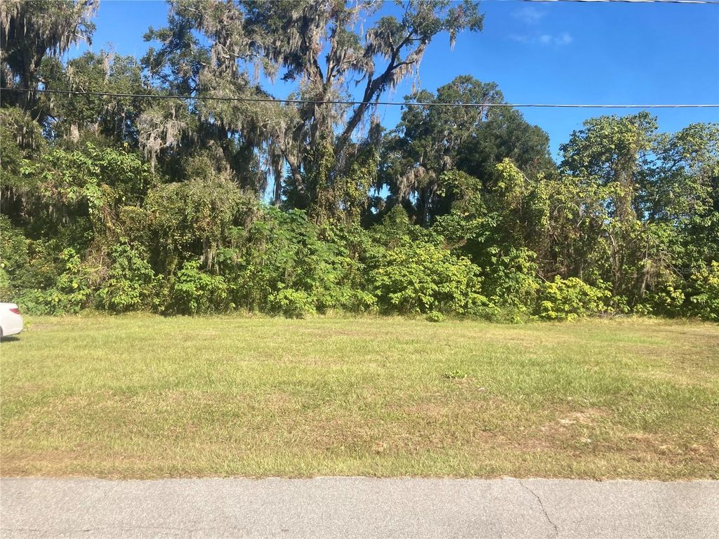 Photo of SW 5th St, Ocala, FL 34471 (MLS # OM689922)