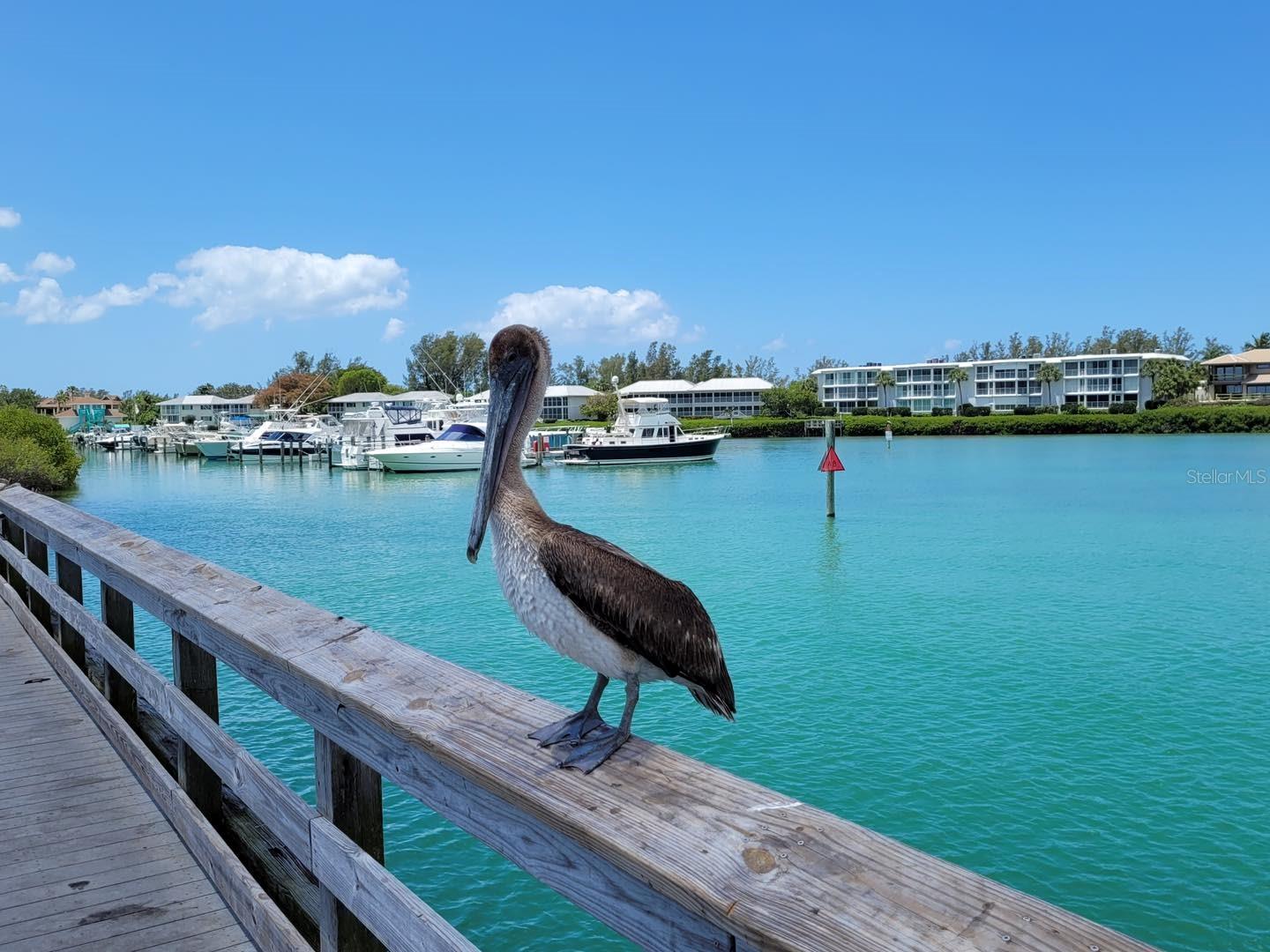 CHARLOTTE RANCHETTES - Residential