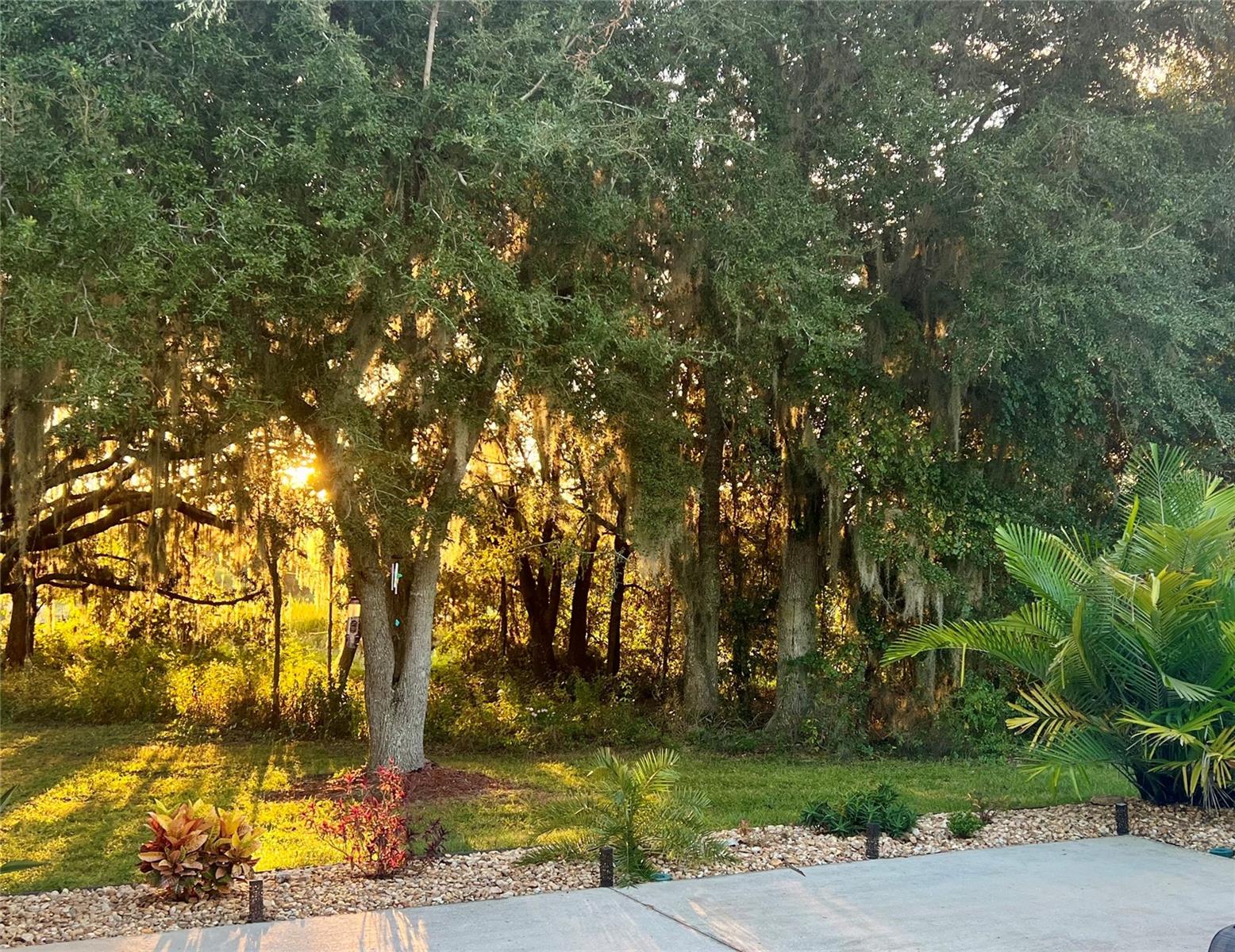 FLORIDA GRANDE MOTOR COACH RESIDENCE - Land