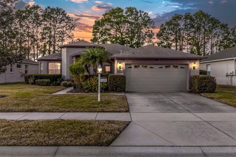 Photo of 1553 Morning Rose Place, Trinity, FL 34655 (MLS # TB8460850)