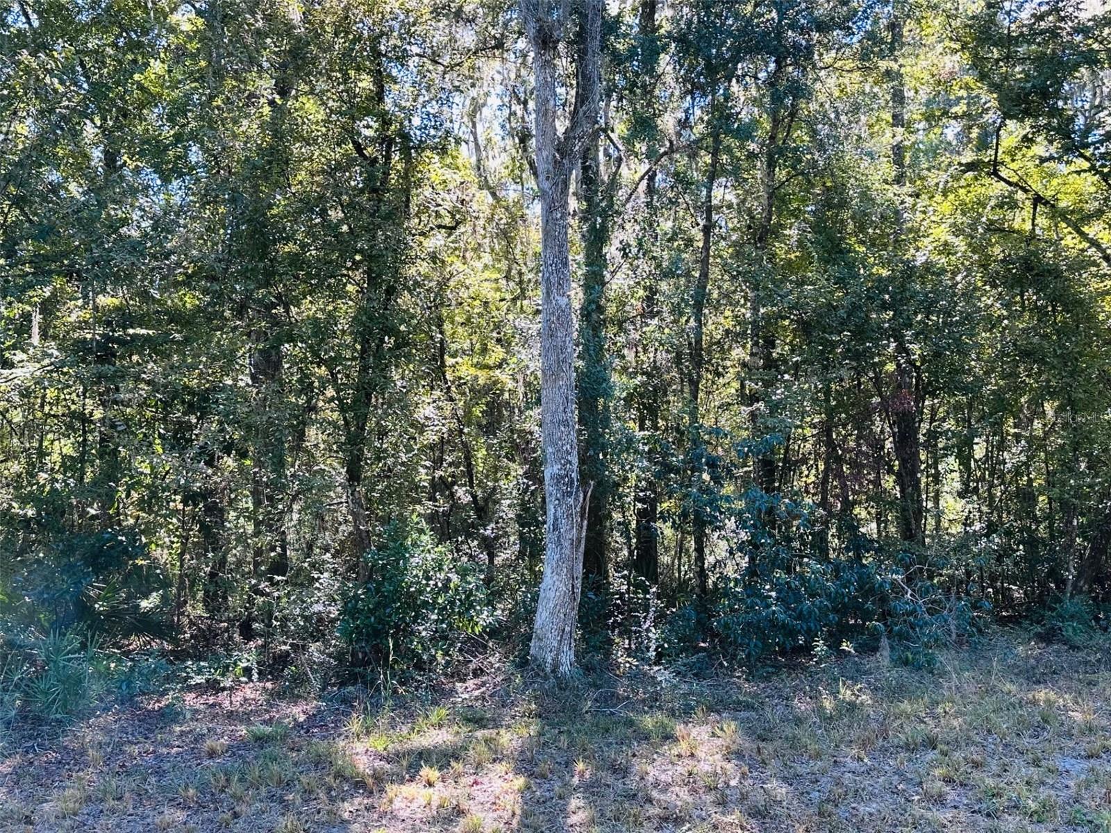 LONG POND LANDING SUB - Land