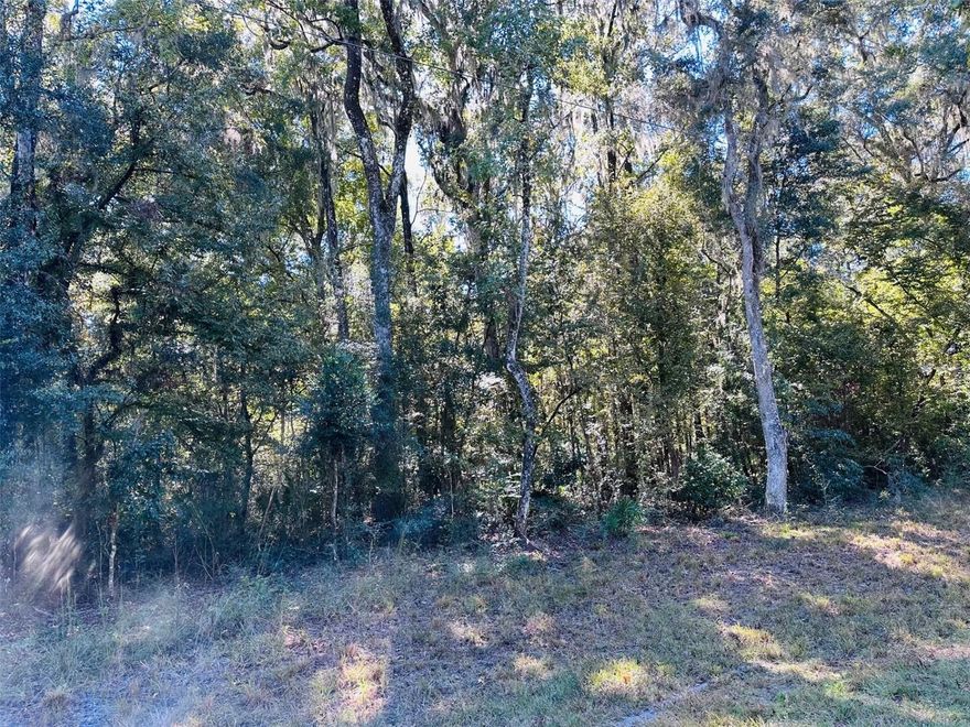 Discover the perfect spot for your new home or getaway retreat on this beautiful wooded 1.17-acre lot located on a paved street near Long Pond in Chiefland, Florida. With plenty of trees for shade and privacy, this property offers the peace of country living while still being close to all the conveniences of town. This lot should allow for a standard septic system, and site-built or manufactured homes are welcome giving you flexibility to build your dream home or set up your seasonal retreat. Enjoy easy access to schools, shopping, and local restaurants less than 10 minutes away. Outdoor lovers will appreciate being under 20 minutes from Manatee Springs State Park, the Suwannee River, and the local 18-hole golf course. For saltwater fishing and boating, Cedar Key and the boat ramps onto the Gulf are less than 40 minutes away. Come experience Old Florida charm and make this peaceful property your own slice of paradise!