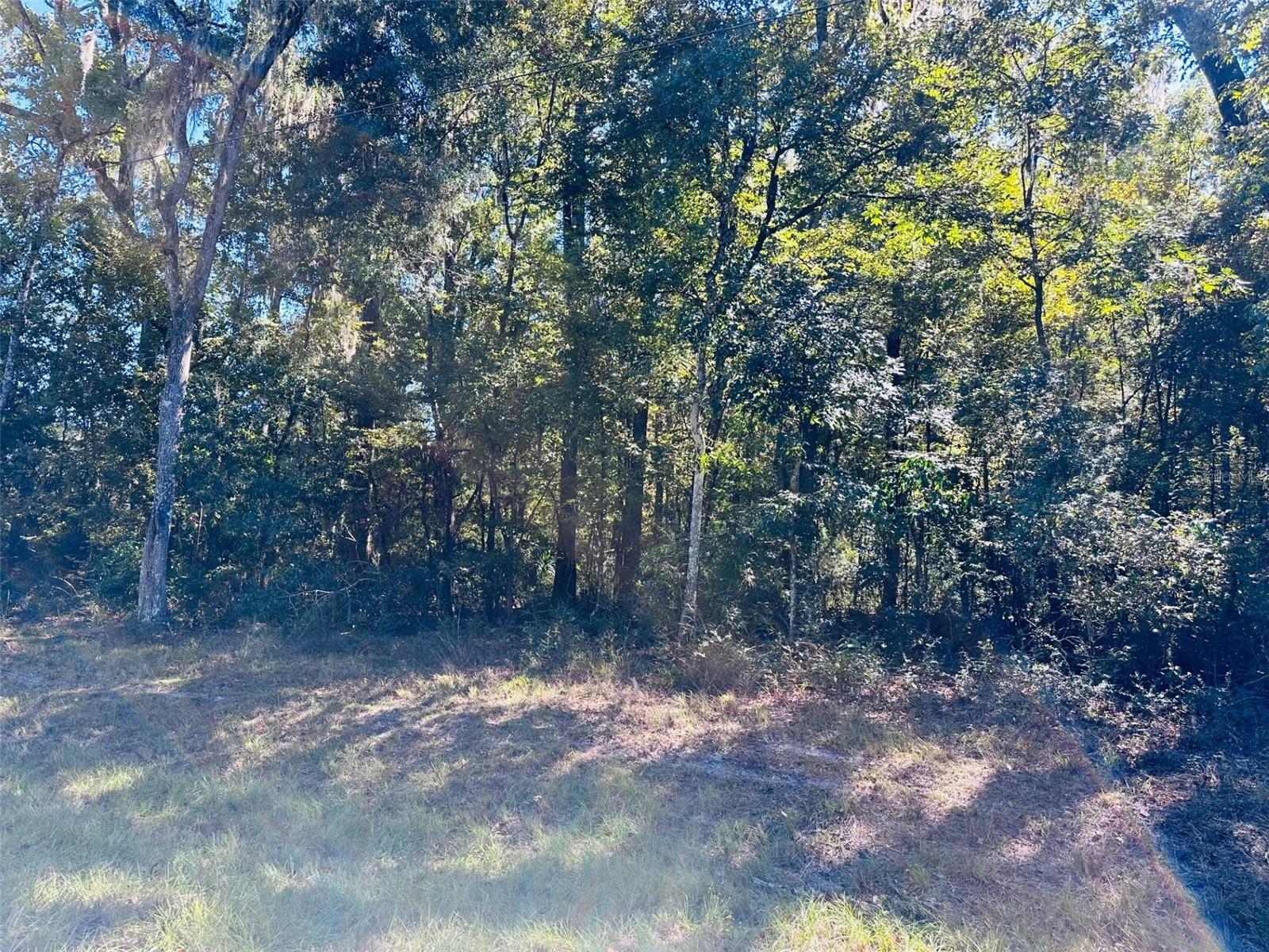 LONG POND LANDING SUB - Land