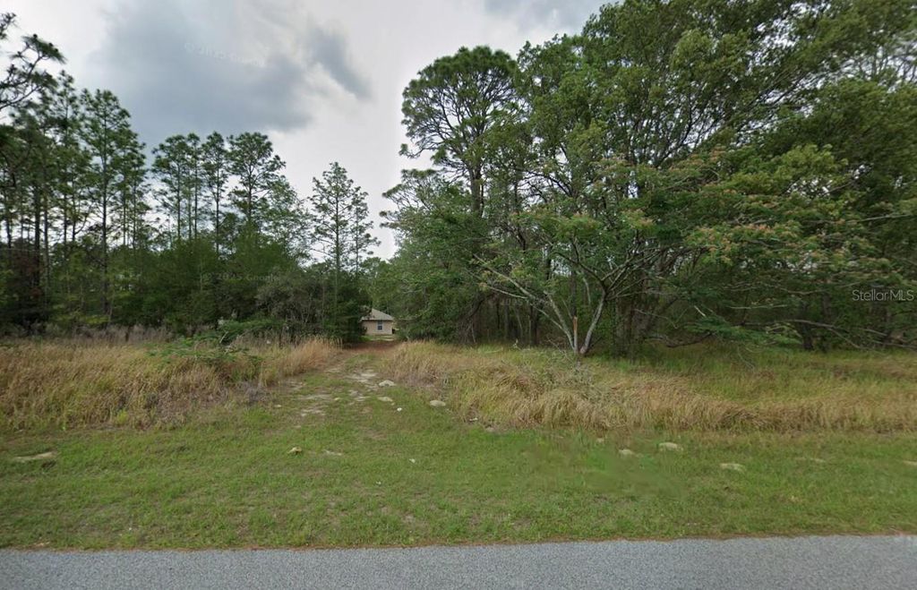 Photo of 829 W Smallman Place, Citrus Springs, FL 34434 (MLS # A4686207)