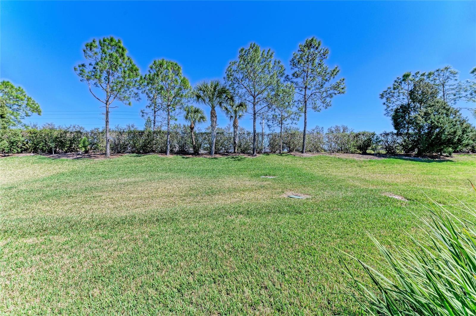 SILVERLEAF PH I-D - Residential