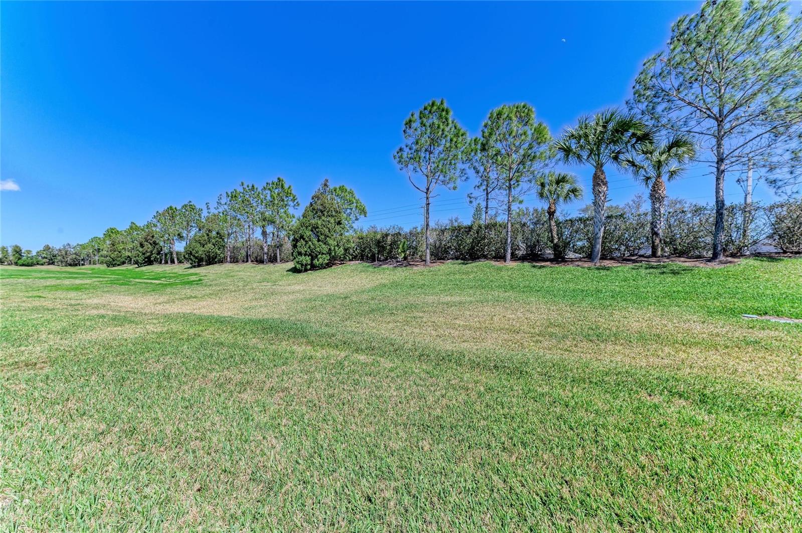 SILVERLEAF PH I-D - Residential