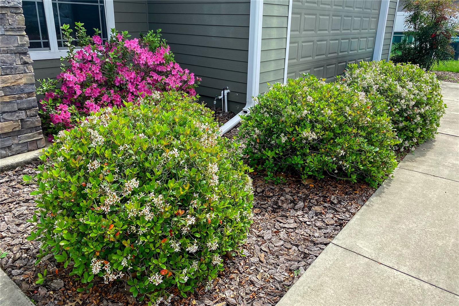 NEWBERRY OAKS - Residential