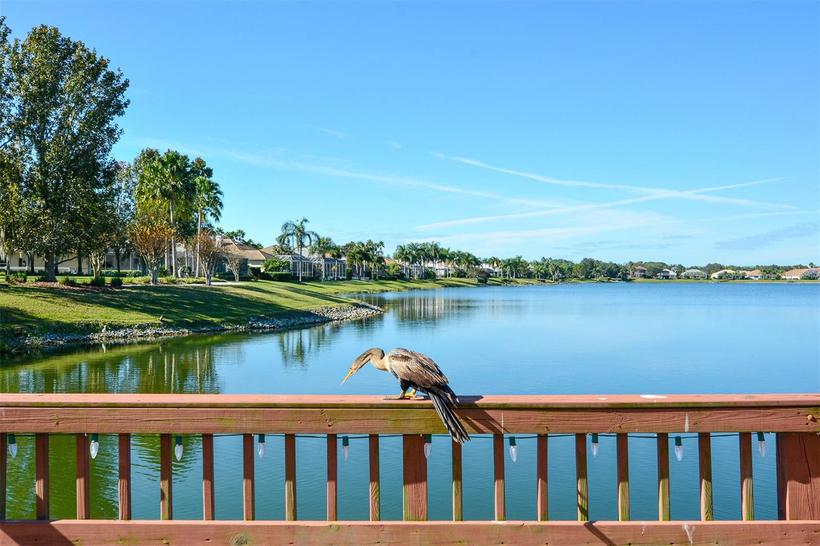 EDGEWATER VILLAGE SUBPHASE A - Residential