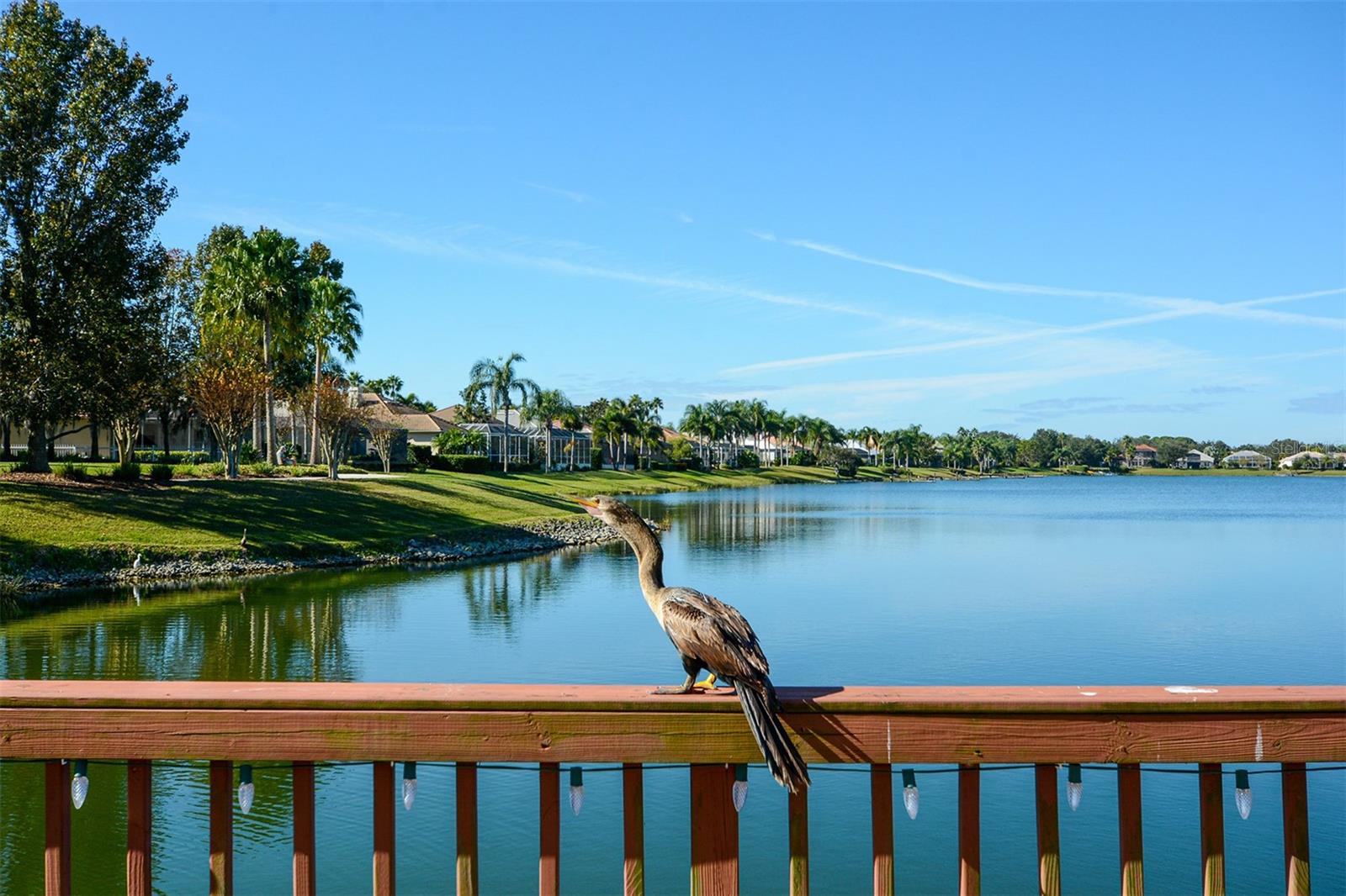 EDGEWATER VILLAGE SUBPHASE A - Residential