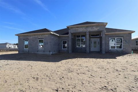 Photo of 3811 Wolves Creek Place, Apopka, FL 32712 (MLS # O6373106)